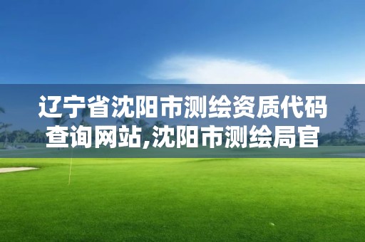 辽宁省沈阳市测绘资质代码查询网站,沈阳市测绘局官网