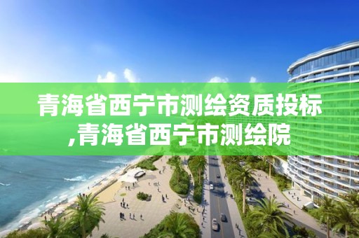 青海省西宁市测绘资质投标,青海省西宁市测绘院