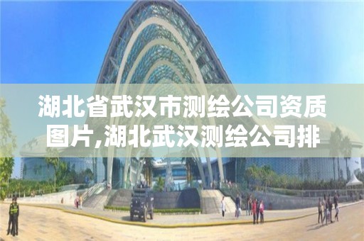 湖北省武汉市测绘公司资质图片,湖北武汉测绘公司排行榜