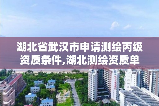 湖北省武汉市申请测绘丙级资质条件,湖北测绘资质单位