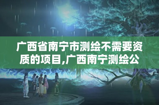 广西省南宁市测绘不需要资质的项目,广西南宁测绘公司排名。