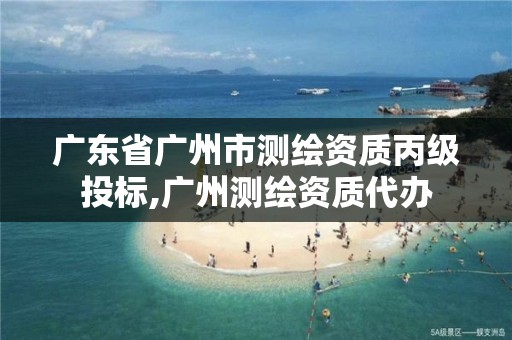 广东省广州市测绘资质丙级投标,广州测绘资质代办