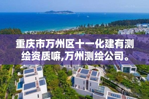 重庆市万州区十一化建有测绘资质嘛,万州测绘公司。