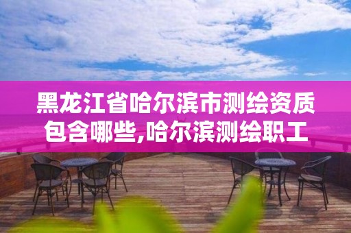 黑龙江省哈尔滨市测绘资质包含哪些,哈尔滨测绘职工中等专业学校