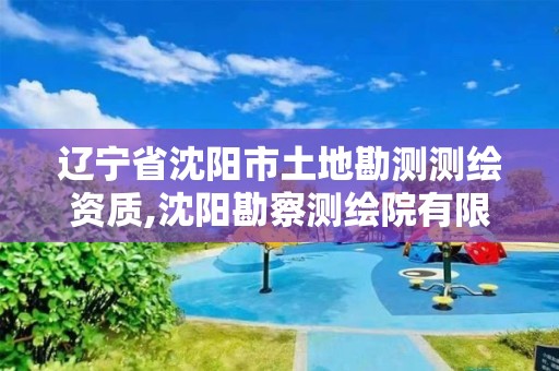 辽宁省沈阳市土地勘测测绘资质,沈阳勘察测绘院有限公司招聘