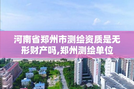 河南省郑州市测绘资质是无形财产吗,郑州测绘单位