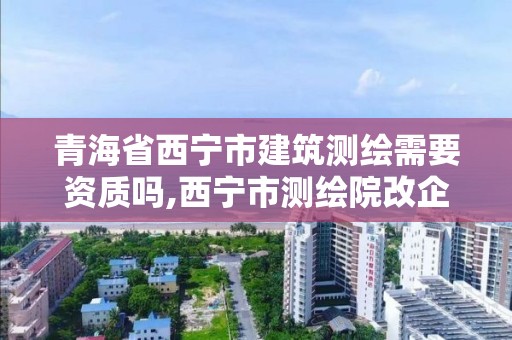 青海省西宁市建筑测绘需要资质吗,西宁市测绘院改企业