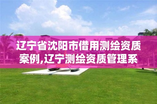 辽宁省沈阳市借用测绘资质案例,辽宁测绘资质管理系统登录