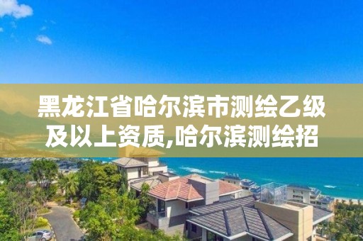 黑龙江省哈尔滨市测绘乙级及以上资质,哈尔滨测绘招聘信息