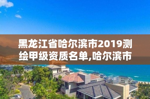 黑龙江省哈尔滨市2019测绘甲级资质名单,哈尔滨市测绘院