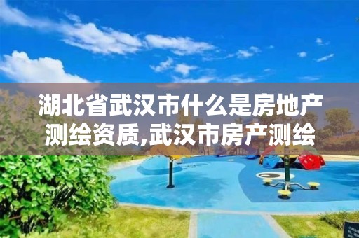 湖北省武汉市什么是房地产测绘资质,武汉市房产测绘中心是什么性质。