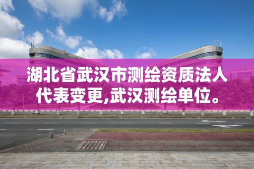 湖北省武汉市测绘资质法人代表变更,武汉测绘单位。