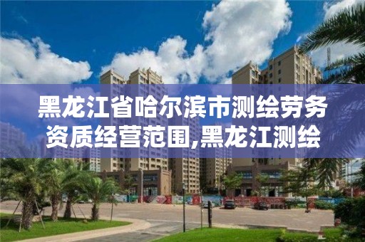 黑龙江省哈尔滨市测绘劳务资质经营范围,黑龙江测绘公司乙级资质。