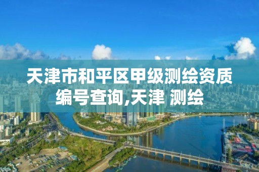 天津市和平区甲级测绘资质编号查询,天津 测绘