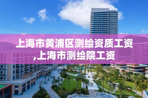 上海市黄浦区测绘资质工资,上海市测绘院工资