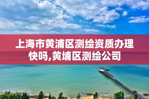 上海市黄浦区测绘资质办理快吗,黄埔区测绘公司