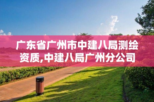 广东省广州市中建八局测绘资质,中建八局广州分公司官网。