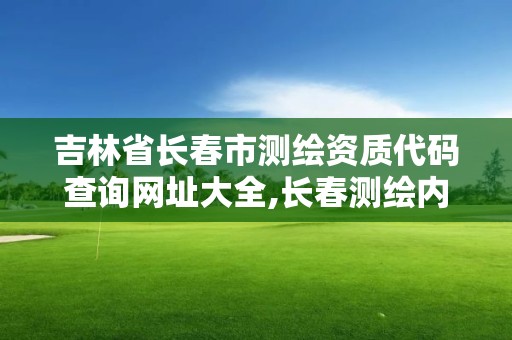 吉林省长春市测绘资质代码查询网址大全,长春测绘内业招聘。