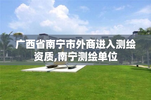 广西省南宁市外商进入测绘资质,南宁测绘单位