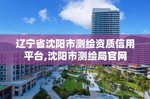 辽宁省沈阳市测绘资质信用平台,沈阳市测绘局官网