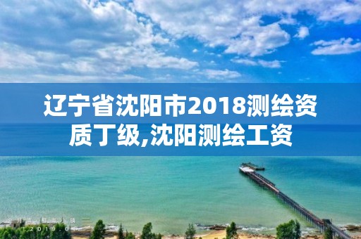 辽宁省沈阳市2018测绘资质丁级,沈阳测绘工资