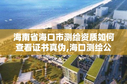 海南省海口市测绘资质如何查看证书真伪,海口测绘公司排行榜