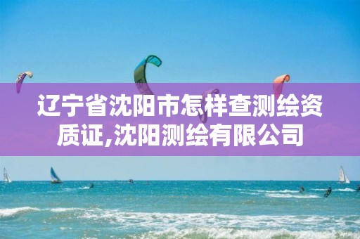 辽宁省沈阳市怎样查测绘资质证,沈阳测绘有限公司