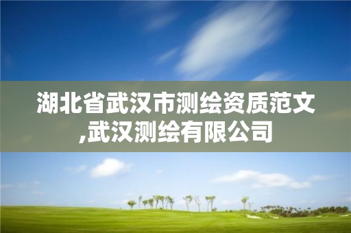 湖北省武汉市测绘资质范文,武汉测绘有限公司