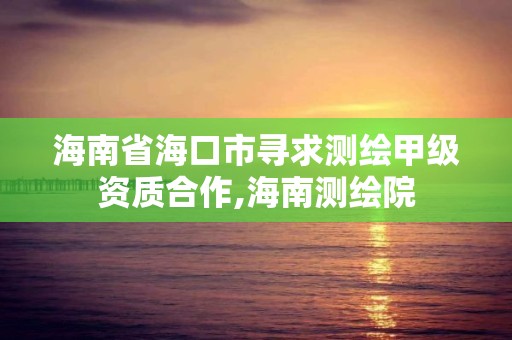 海南省海口市寻求测绘甲级资质合作,海南测绘院