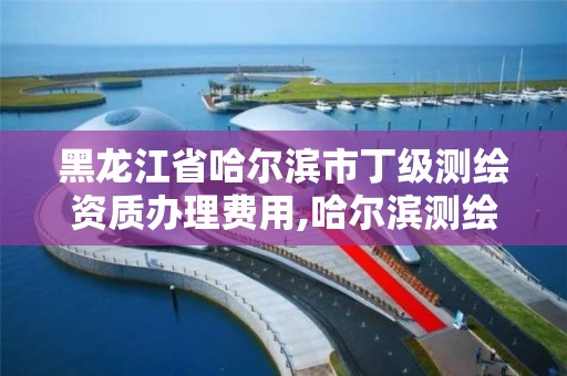 黑龙江省哈尔滨市丁级测绘资质办理费用,哈尔滨测绘局怎么样