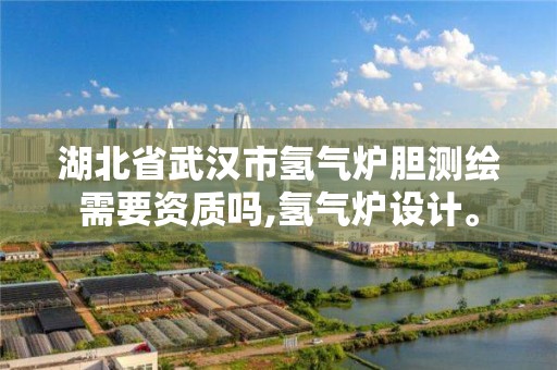 湖北省武汉市氢气炉胆测绘需要资质吗,氢气炉设计。