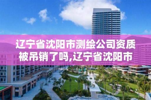 辽宁省沈阳市测绘公司资质被吊销了吗,辽宁省沈阳市测绘公司资质被吊销了吗现在。