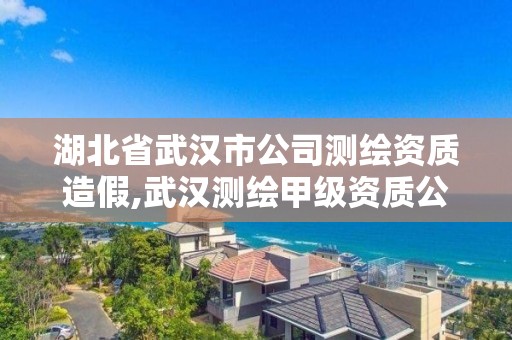 湖北省武汉市公司测绘资质造假,武汉测绘甲级资质公司