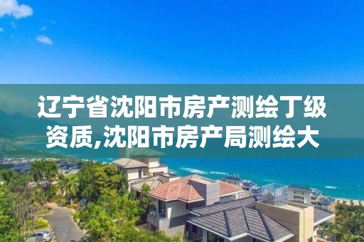 辽宁省沈阳市房产测绘丁级资质,沈阳市房产局测绘大队在哪