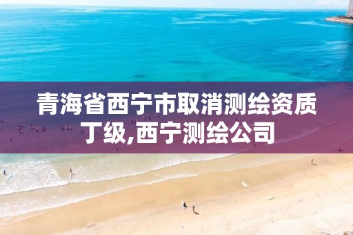 青海省西宁市取消测绘资质丁级,西宁测绘公司