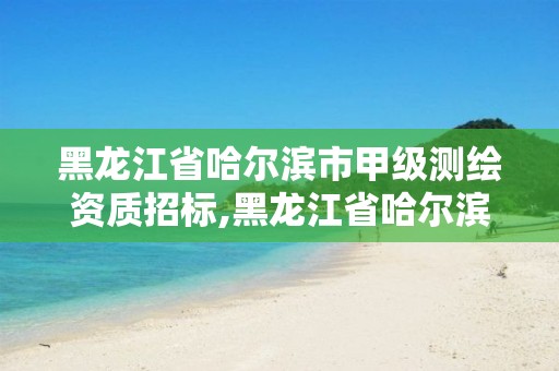 黑龙江省哈尔滨市甲级测绘资质招标,黑龙江省哈尔滨市测绘局