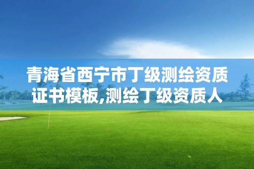 青海省西宁市丁级测绘资质证书模板,测绘丁级资质人员条件。