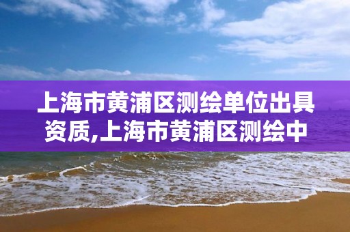 上海市黄浦区测绘单位出具资质,上海市黄浦区测绘中心