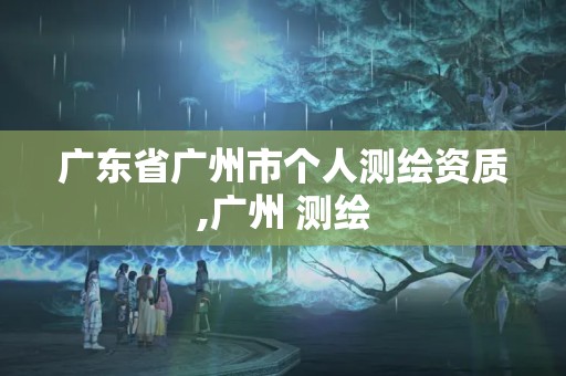 广东省广州市个人测绘资质,广州 测绘