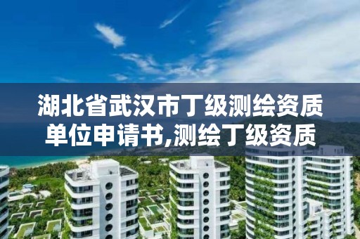 湖北省武汉市丁级测绘资质单位申请书,测绘丁级资质全套申请文件。