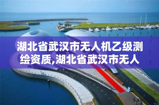 湖北省武汉市无人机乙级测绘资质,湖北省武汉市无人机乙级测绘资质企业名单。