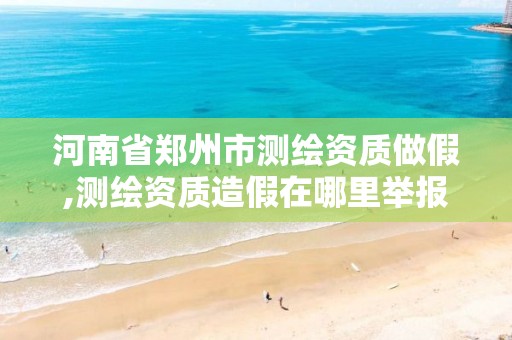 河南省郑州市测绘资质做假,测绘资质造假在哪里举报