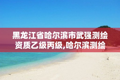 黑龙江省哈尔滨市武强测绘资质乙级丙级,哈尔滨测绘局怎么样