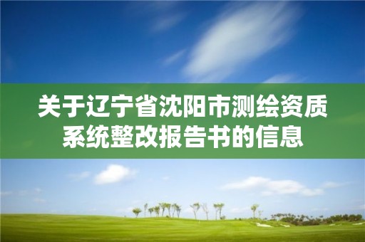 关于辽宁省沈阳市测绘资质系统整改报告书的信息