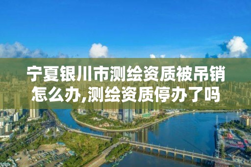 宁夏银川市测绘资质被吊销怎么办,测绘资质停办了吗