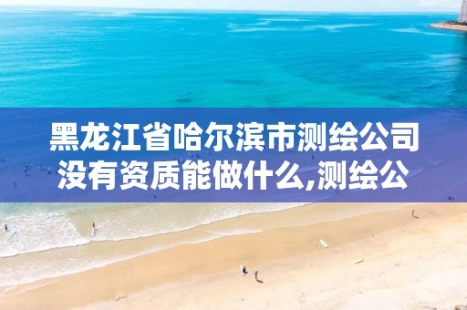 黑龙江省哈尔滨市测绘公司没有资质能做什么,测绘公司的资质去哪里申请。