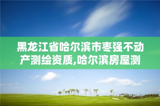 黑龙江省哈尔滨市枣强不动产测绘资质,哈尔滨房屋测绘。