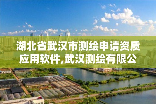 湖北省武汉市测绘申请资质应用软件,武汉测绘有限公司