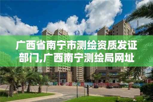 广西省南宁市测绘资质发证部门,广西南宁测绘局网址