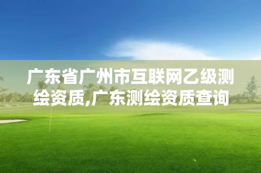 广东省广州市互联网乙级测绘资质,广东测绘资质查询